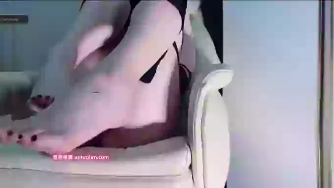 Eva-009