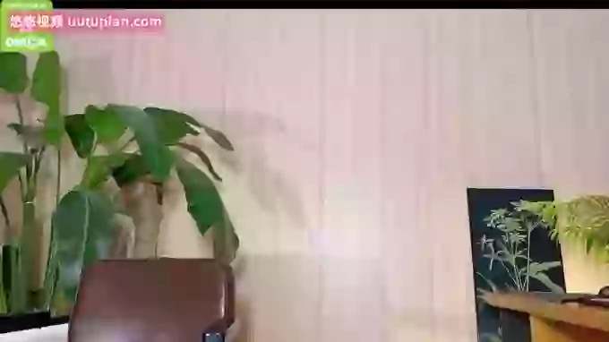 meowLili
