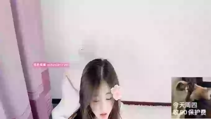 Yina-