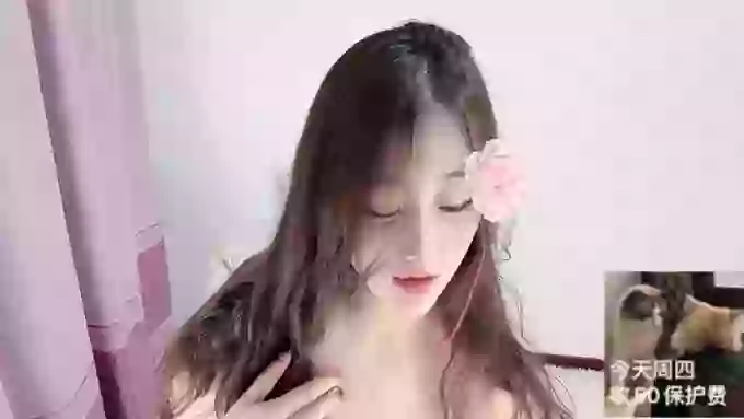 Yina-