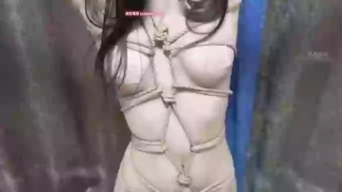 XiaoQing_1811