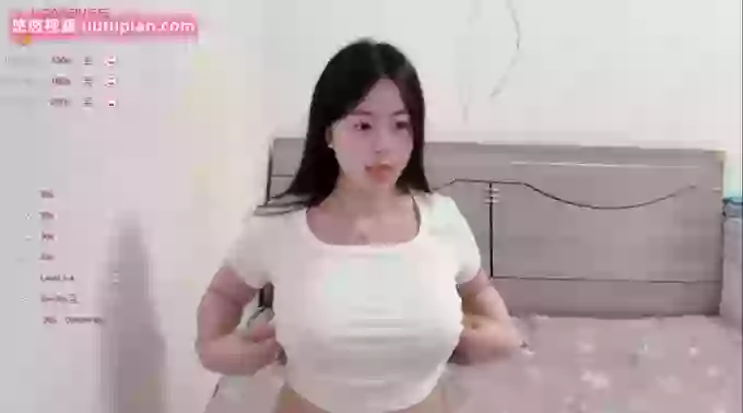 cherry-iy