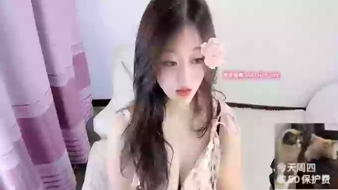 Yina-