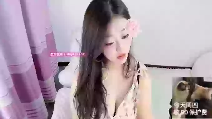 Yina-