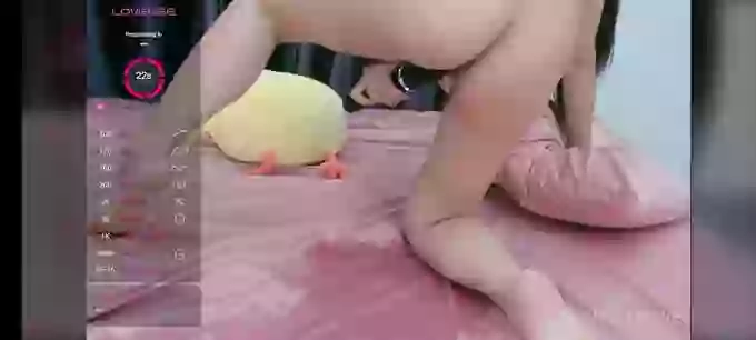LY_26