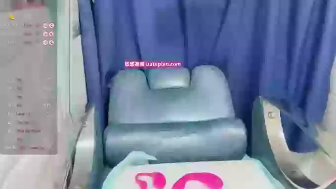 wumeinv