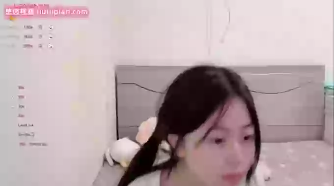 cherry-iy