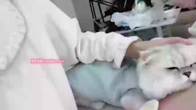 Naiyi-Baby