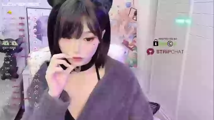 InsSASA_a