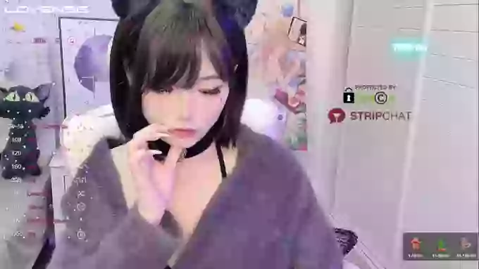 InsSASA_a