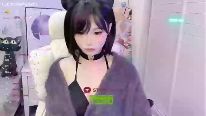 InsSASA_a