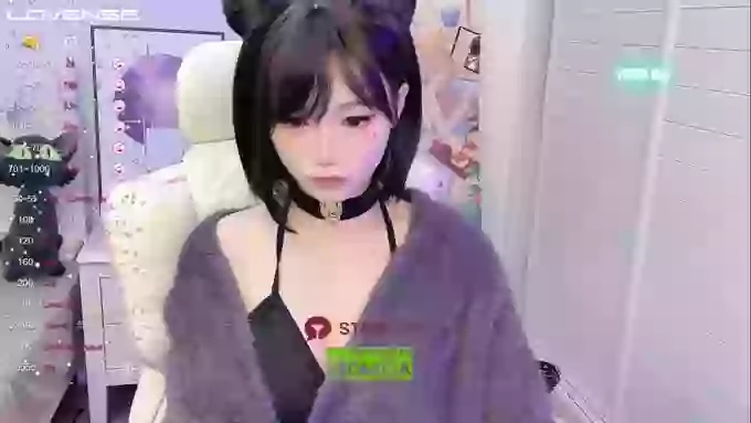 InsSASA_a