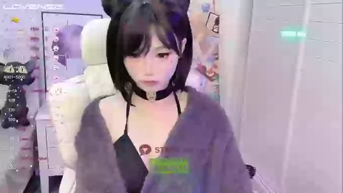 InsSASA_a