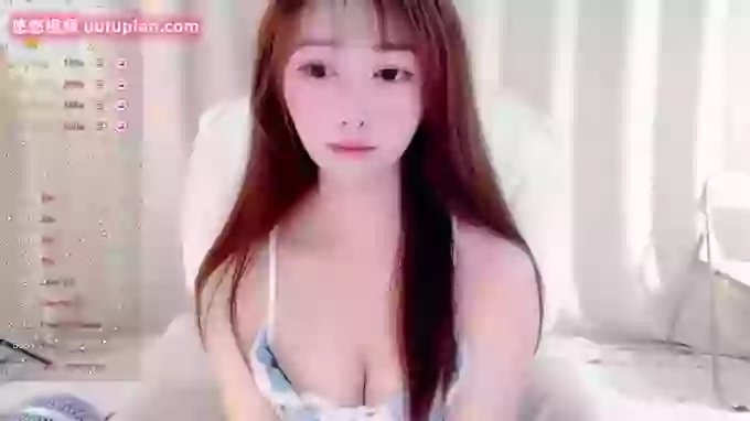 CAiHongtutu
