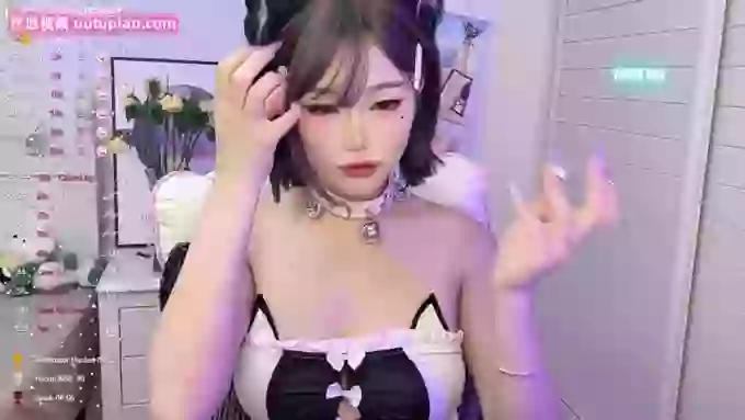 InsSASA_a