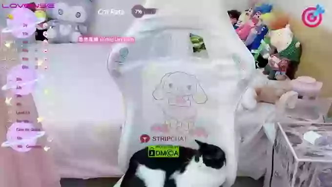 74T_T56