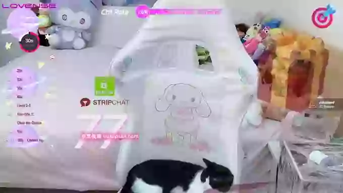 74T_T56