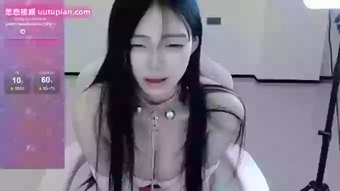 shutiaoxiaomao8