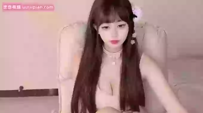 DreamCat_