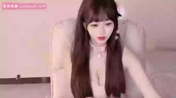 DreamCat_
