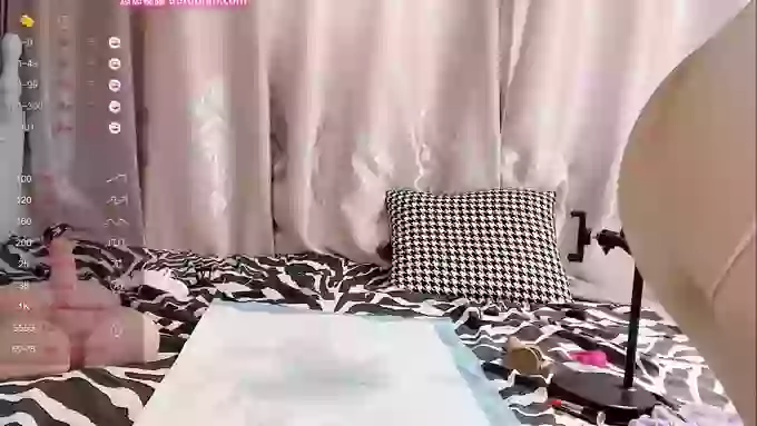 kittyrecalls