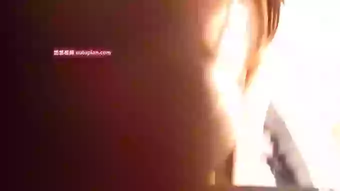 ai_p_q_xx