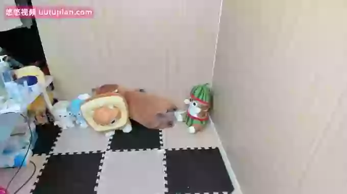 sachi_Lorita