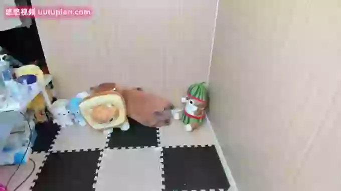 sachi_Lorita