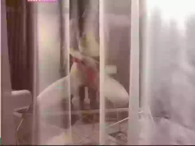 UT-司藤
