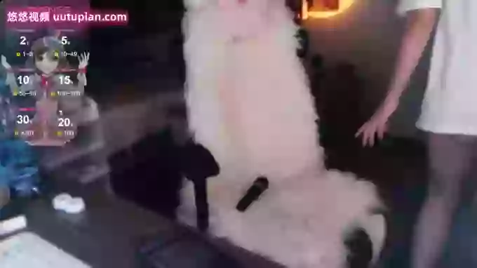 candy_cola