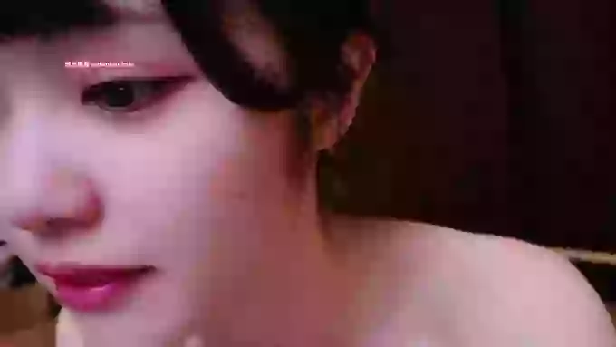 irohani_usagi