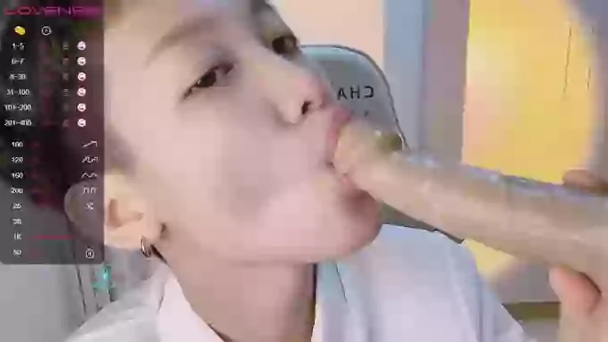 BF_JIAJIA