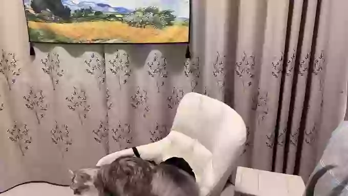 lucky-Angel