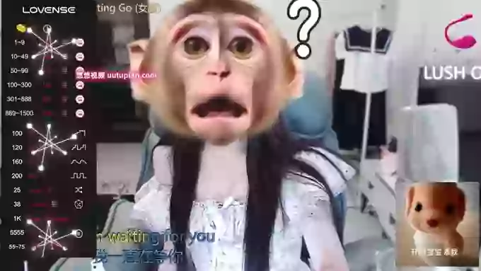 Nononononono-