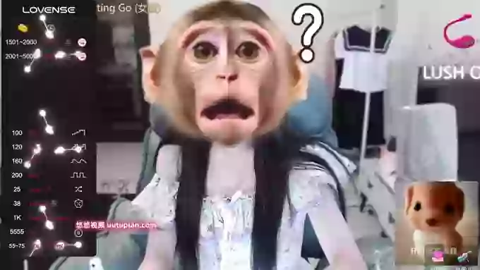 Nononononono-