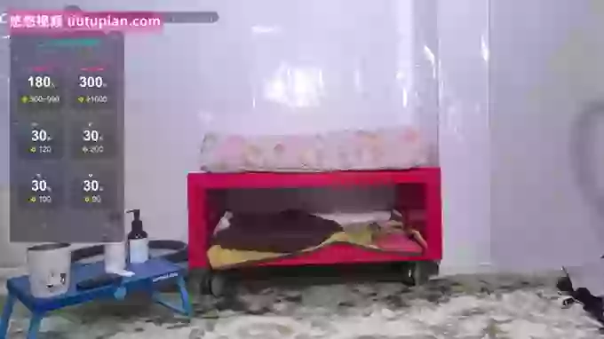risa-kitty