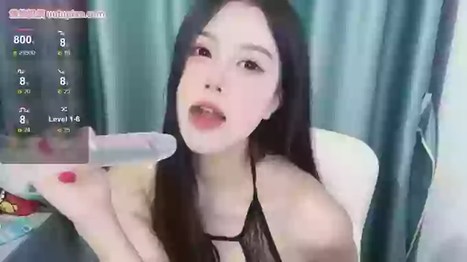 cici-001