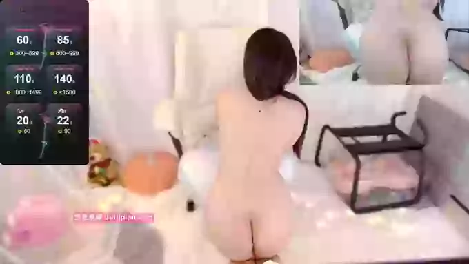 maomao--