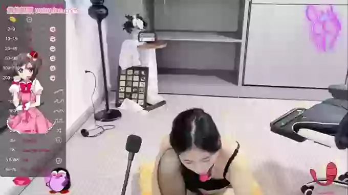 LILI-521