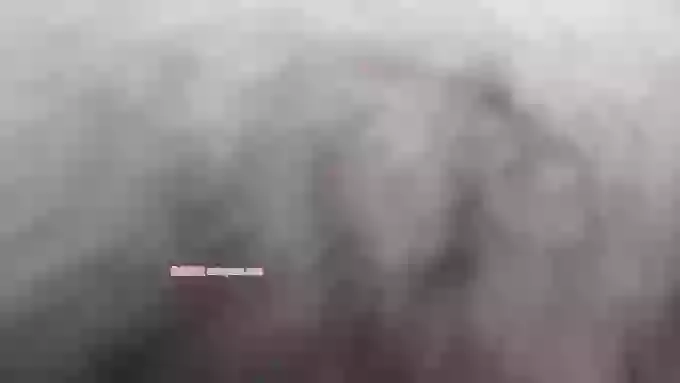 Bellajane_HK000