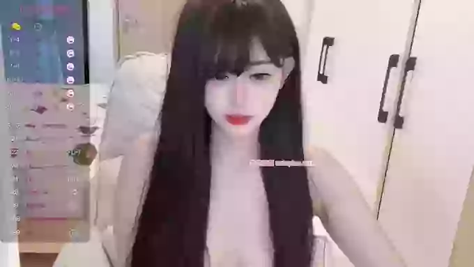 DreamCat_