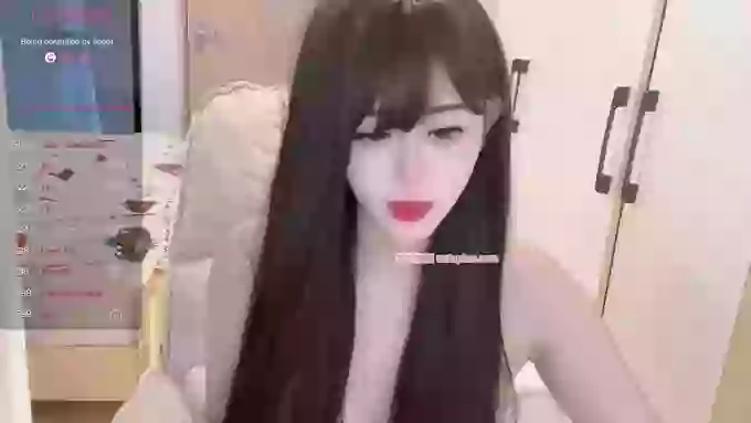 DreamCat_