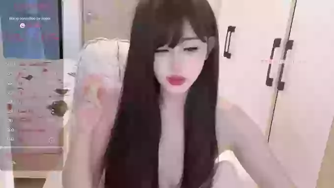 DreamCat_
