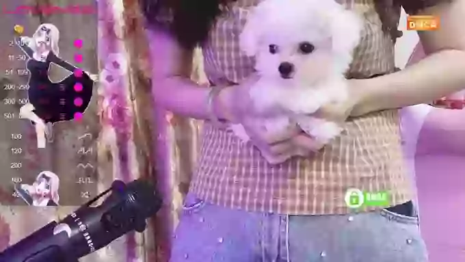 danceCoCo