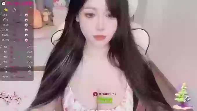 Naixue-520