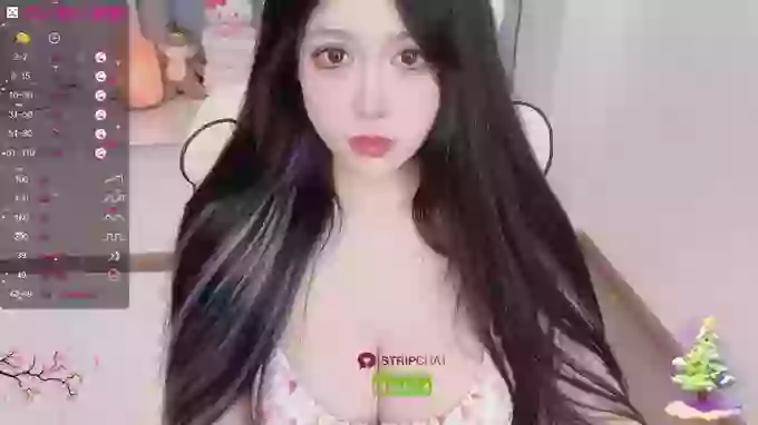Naixue-520