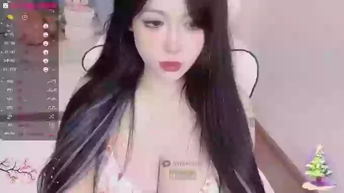 Naixue-520
