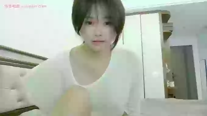 maomao--