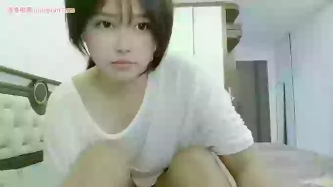 maomao--