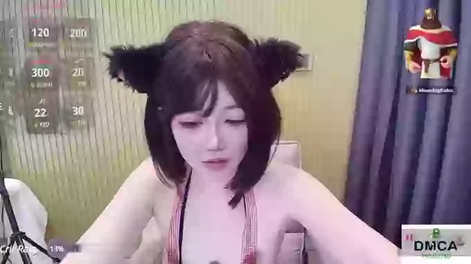 nide_xiaogou